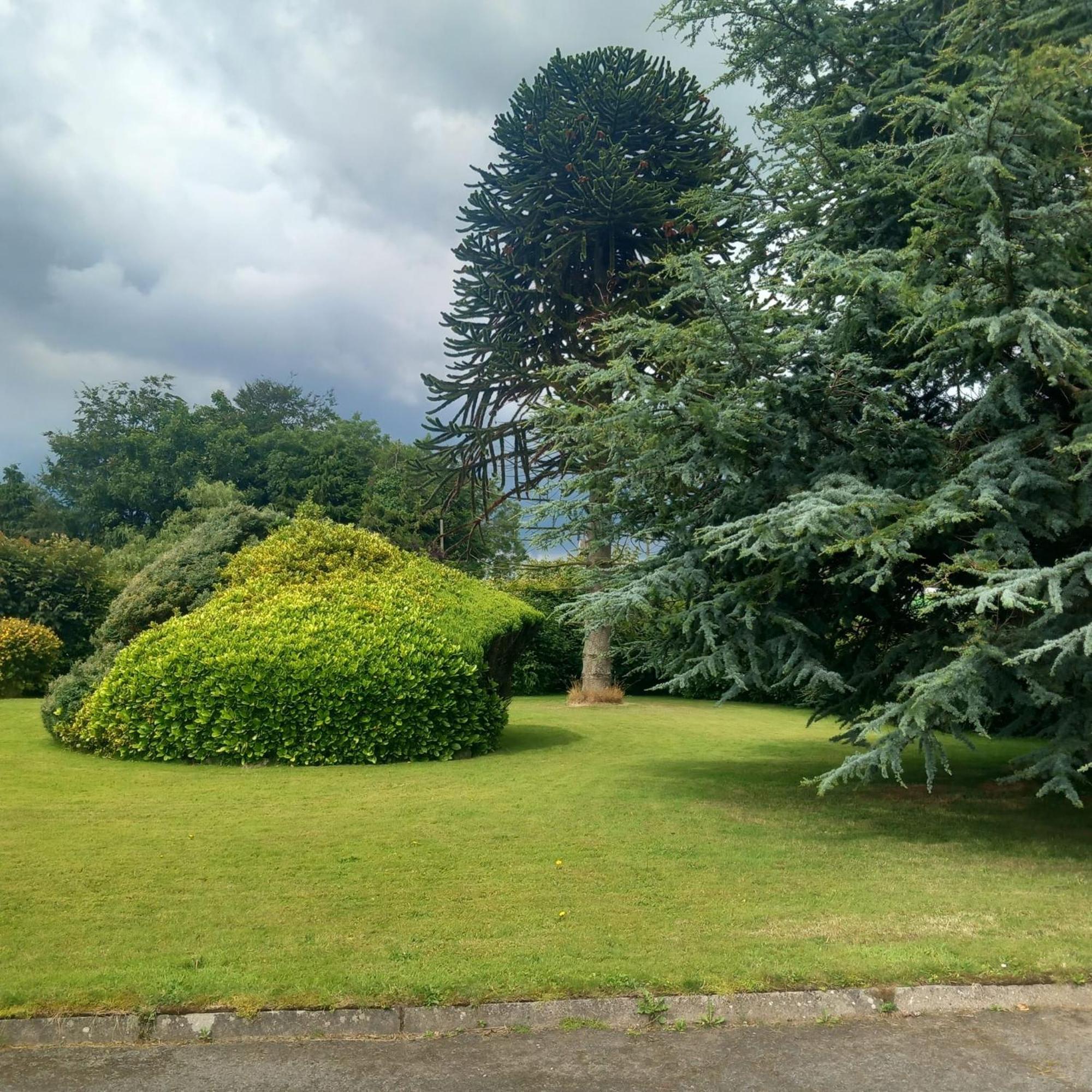 Drumgauty Cottage Strabane Esterno foto